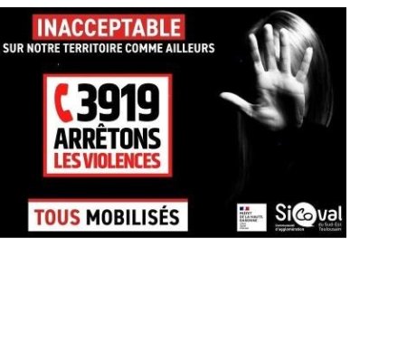 Rencontre interprofessionnelle - Prévention et accompagnement des victimes de violences intrafamiliales, conjugales